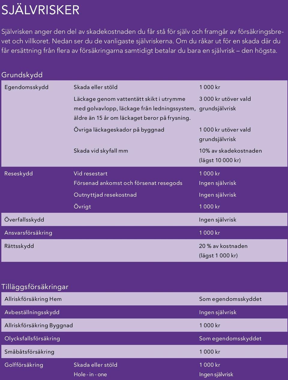 Grundskydd Egendomsskydd Skada eller stöld 1 000 kr Läckage genom vattentätt skikt i utrymme 3 000 kr utöver vald med golvavlopp, läckage från ledningssystem, grundsjälvrisk äldre än 15 år om