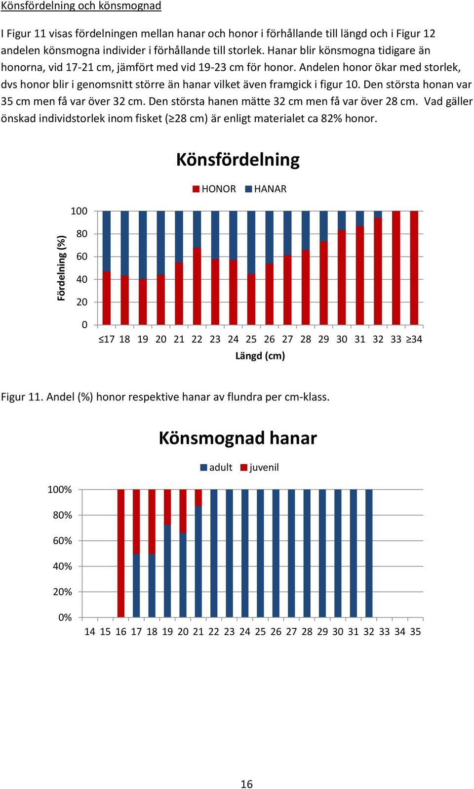 Den största honan var 35 cm men få var över 32 cm. Den största hanen mätte 32 cm men få var över 28 cm. Vad gäller önskad individstorlek inom fisket ( 28 cm) är enligt materialet ca 82% honor.