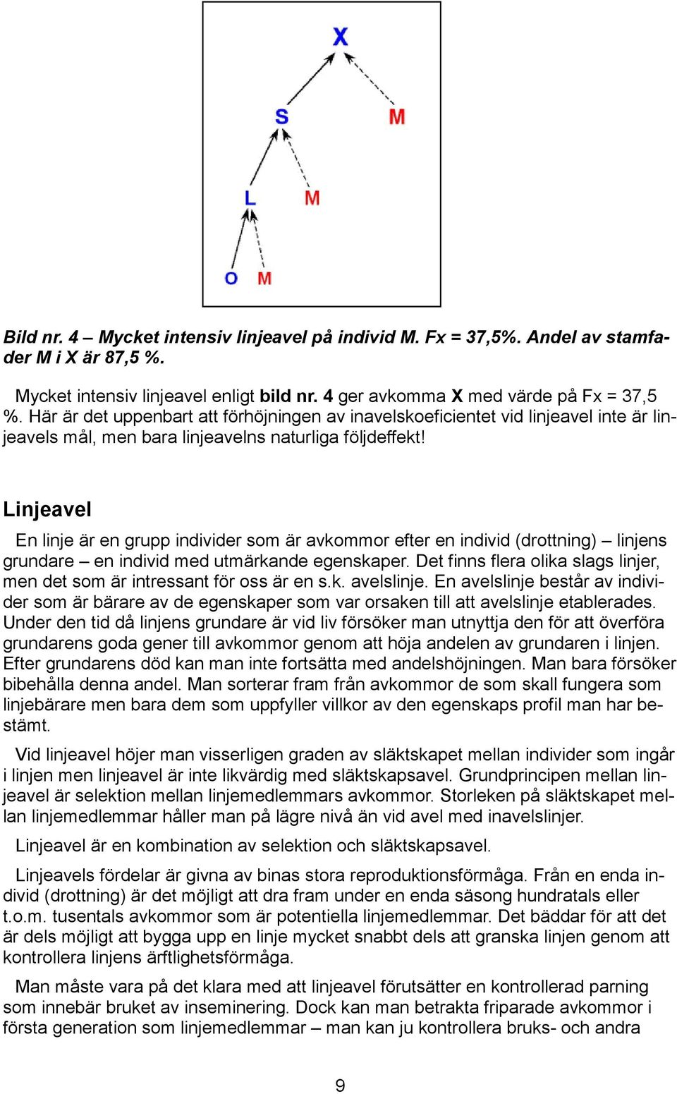 Linjeavel En linje är en grupp individer som är avkommor efter en individ (drottning) linjens grundare en individ med utmärkande egenskaper.