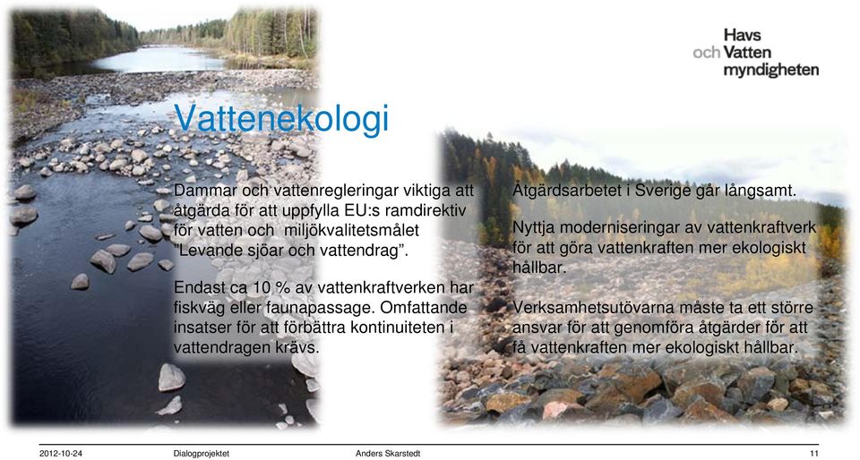 Omfattande insatser för att förbättra kontinuiteten i vattendragen krävs. Åtgärdsarbetet i Sverige går långsamt.
