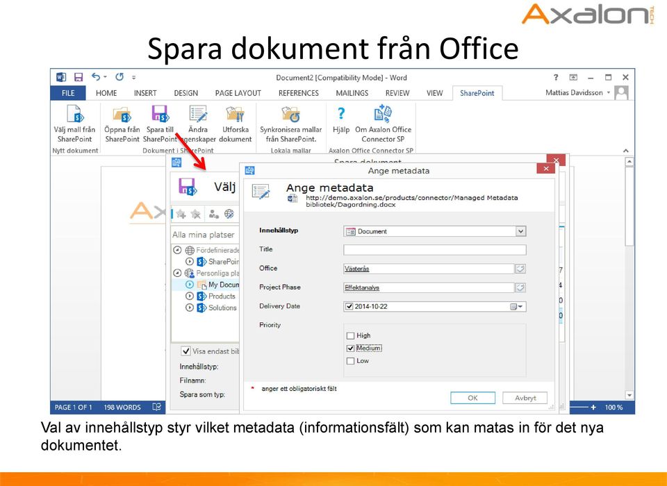 metadata (informationsfält) som