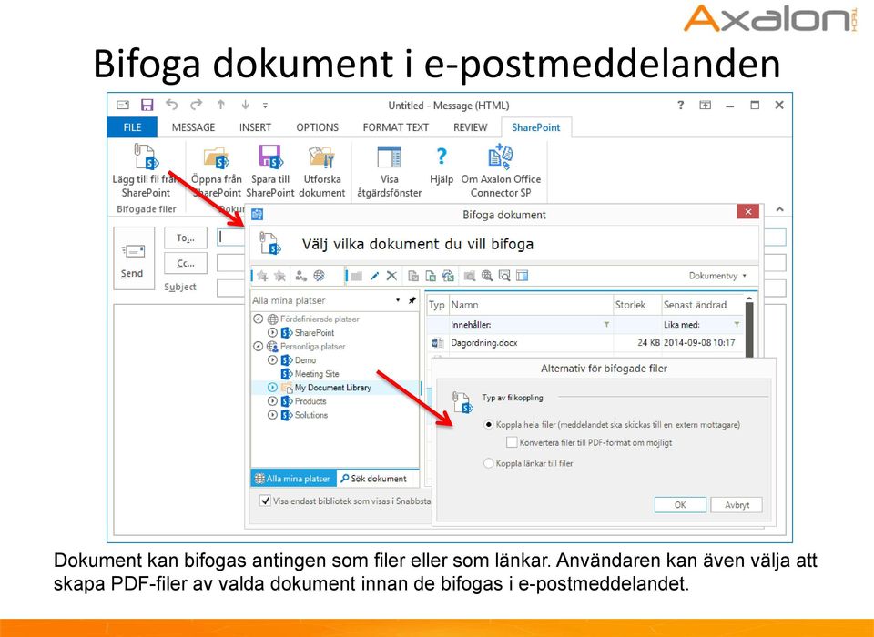 Användaren kan även välja att skapa PDF-filer av