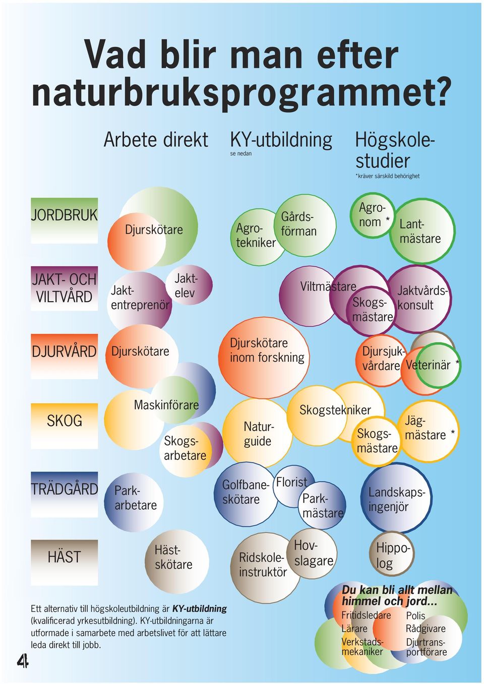 Viltmästare Jaktentreprenör Skogsmästare DJURVÅRD Djurskötare Djurskötare inom forskning Djursjukvårdare Veterinär * SKOG Maskinförare Skogsmästare Skogsarbetare Naturguide Skogstekniker Jägmästare *