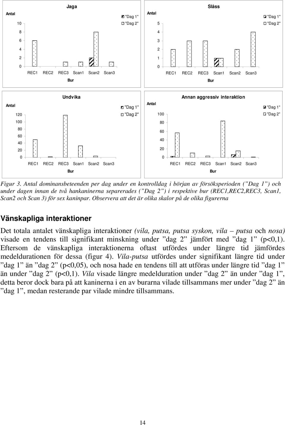 Antal dominansbeteenden per dag under en kontrolldag i början av försöksperioden ( Dag 1 ) och under dagen innan de två hankaninerna separerades ( Dag 2 ) i respektive bur (REC1,REC2,REC3, Scan1,