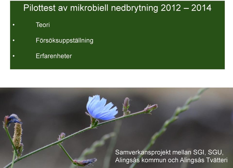 grund för hållbar utveckling Samverkansprojekt