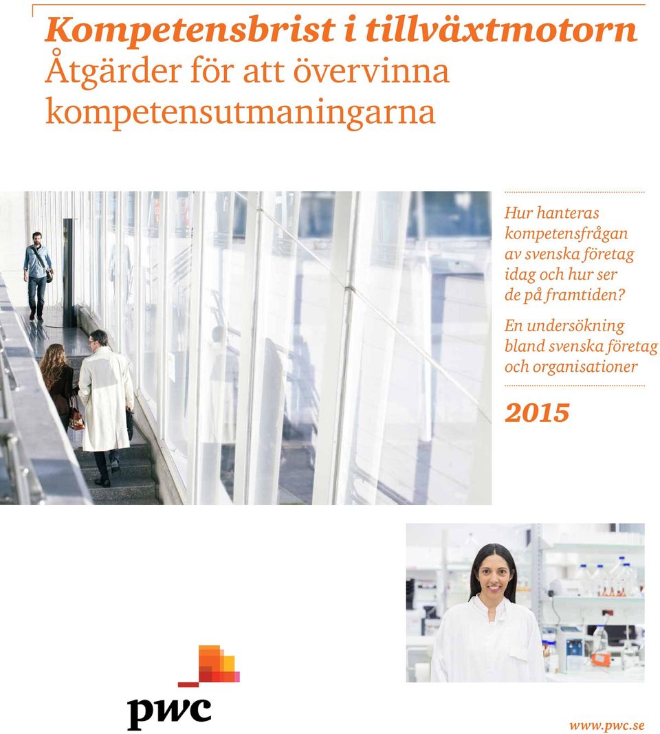 svenska företag idag och hur ser de på framtiden?