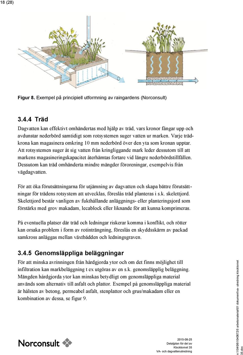 Varje trädkrona kan magasinera omkring 10 mm nederbörd över den yta som kronan upptar.