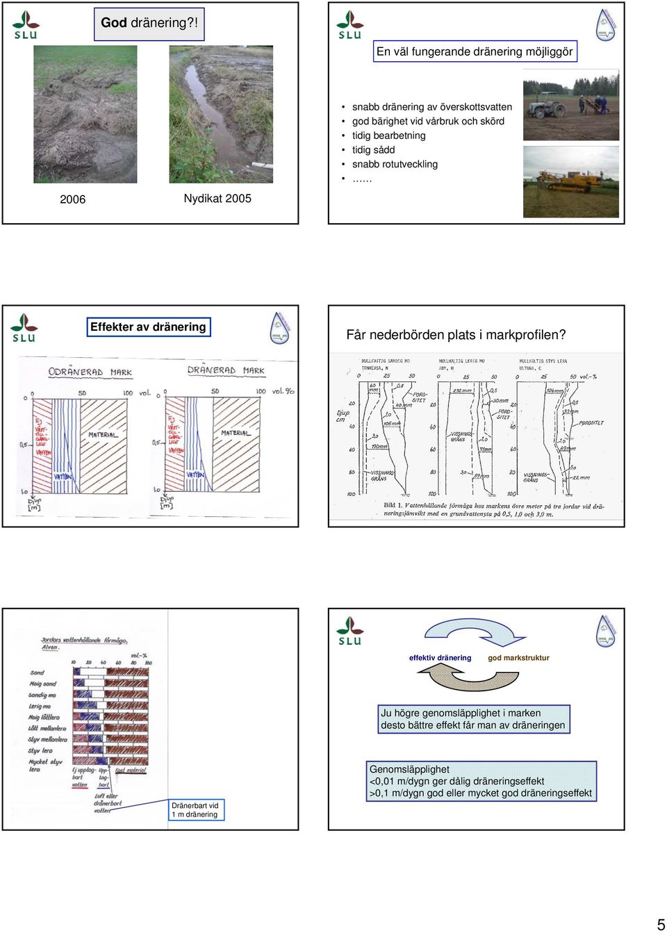 bearbetning tidig sådd snabb rotutveckling 2006 Nydikat 2005 Effekter av dränering Får nederbörden plats i markprofilen?