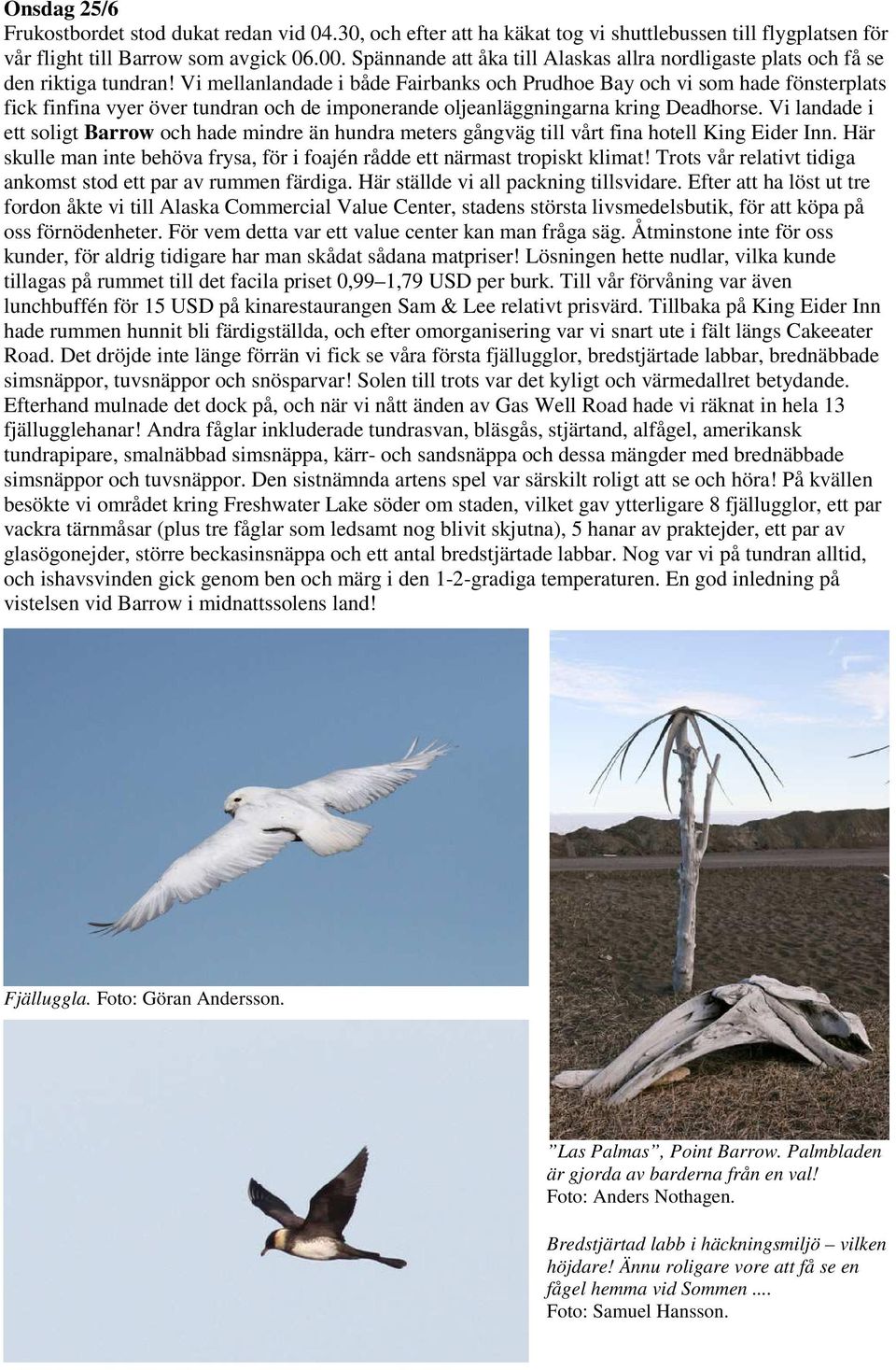 Vi mellanlandade i både Fairbanks och Prudhoe Bay och vi som hade fönsterplats fick finfina vyer över tundran och de imponerande oljeanläggningarna kring Deadhorse.