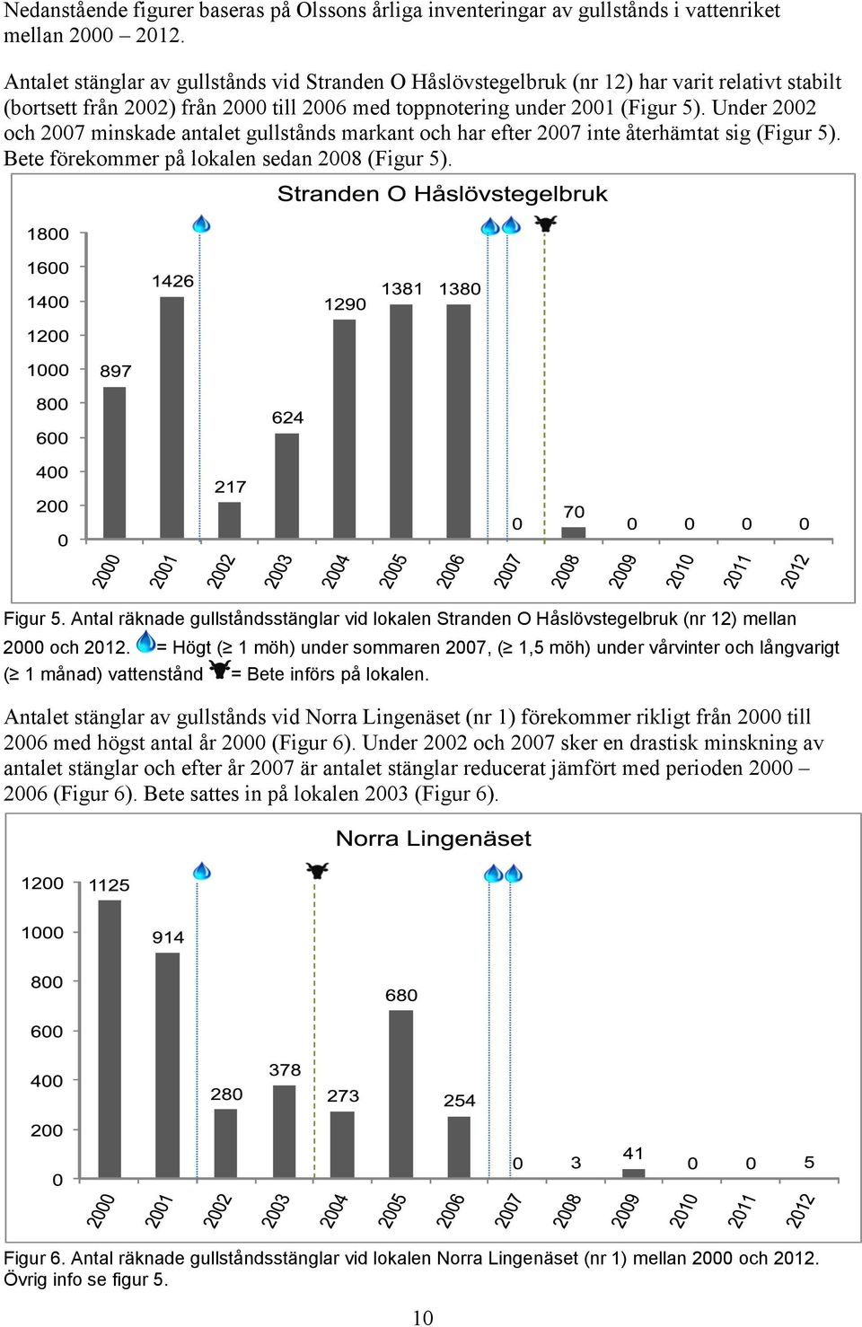 Under 2002 och 2007 minskade antalet gullstånds markant och har efter 2007 inte återhämtat sig (Figur 5). Bete förekommer på lokalen sedan 2008 (Figur 5). Figur 5.
