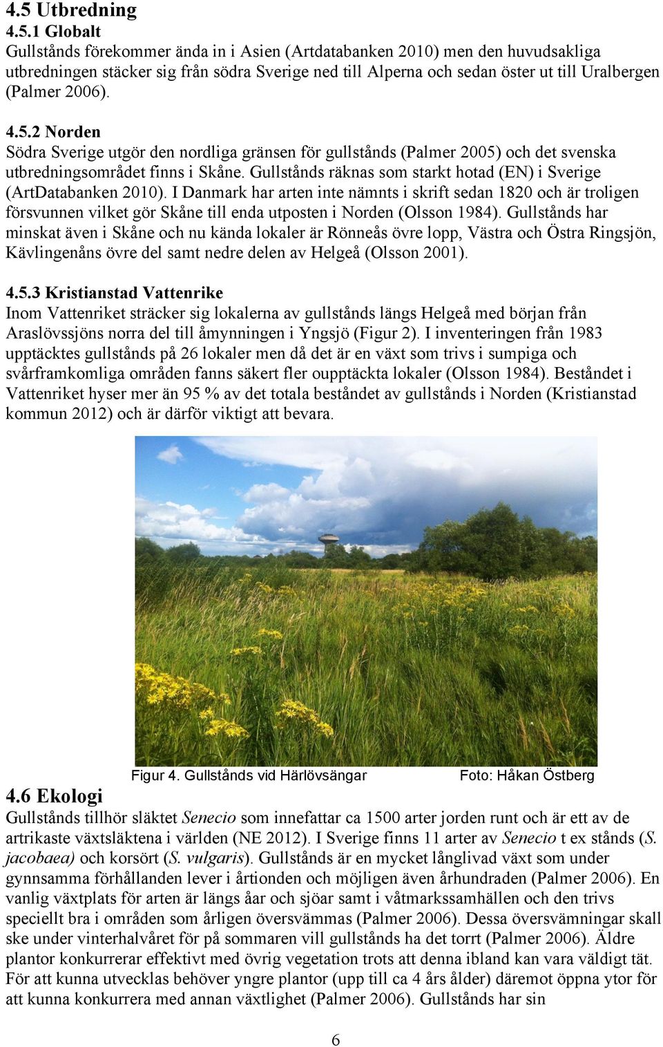 Gullstånds räknas som starkt hotad (EN) i Sverige (ArtDatabanken 2010).