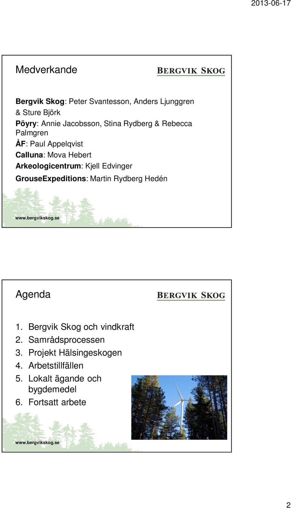 Edvinger GrouseExpeditions: Martin Rydberg Hedén Agenda 1. Bergvik Skog och vindkraft 2.