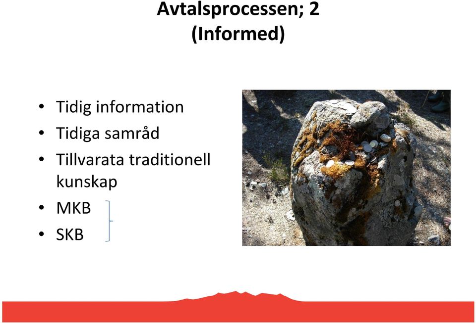 information Tidiga samråd