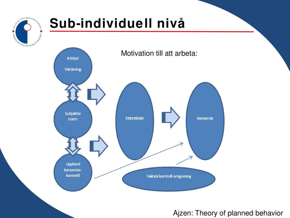 Sub-individuell nivå