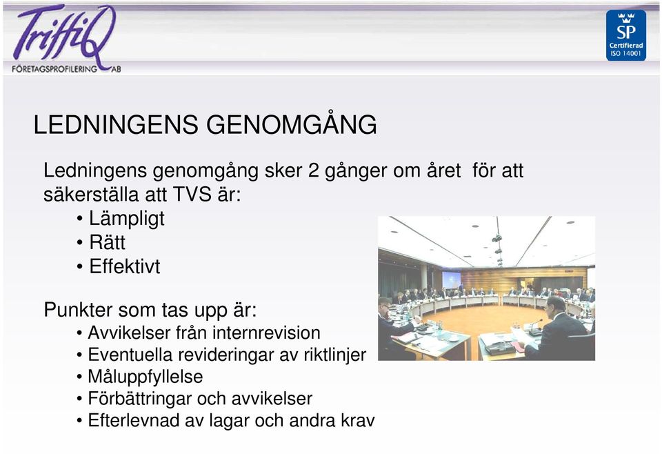 Avvikelser från internrevision Eventuella revideringar av riktlinjer