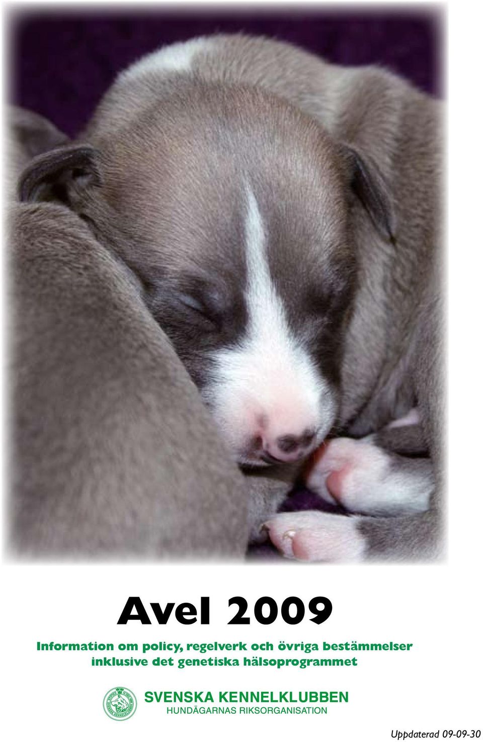 bestämmelser inklusive det