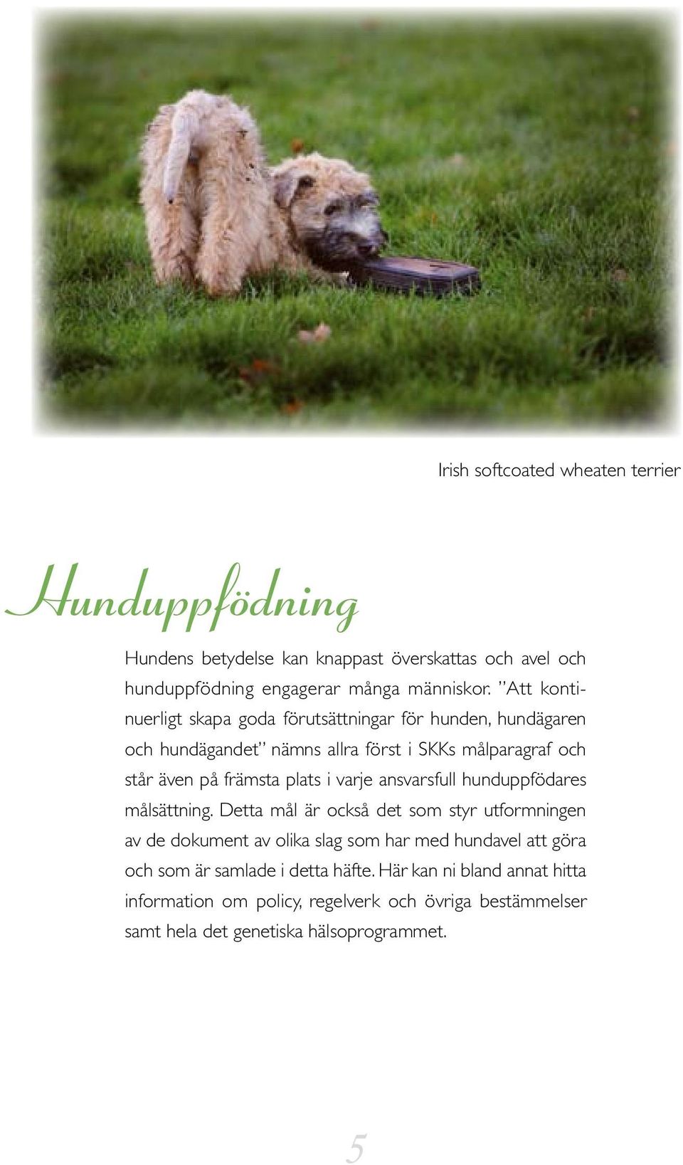 i varje ansvarsfull hunduppfödares målsättning.