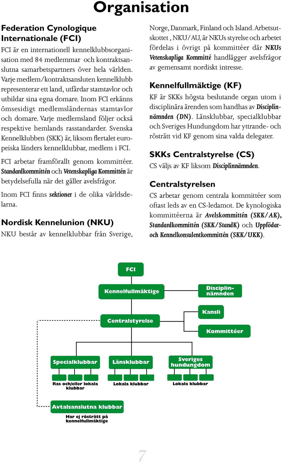 Varje medlemsland följer också respektive hemlands rasstandarder. Svenska Kennelklubben (SKK) är, liksom flertalet europeiska länders kennelklubbar, medlem i FCI.