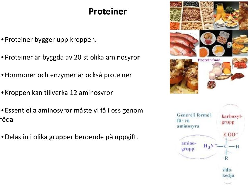 enzymer är också proteiner Kroppen kan tillverka 12 aminosyror