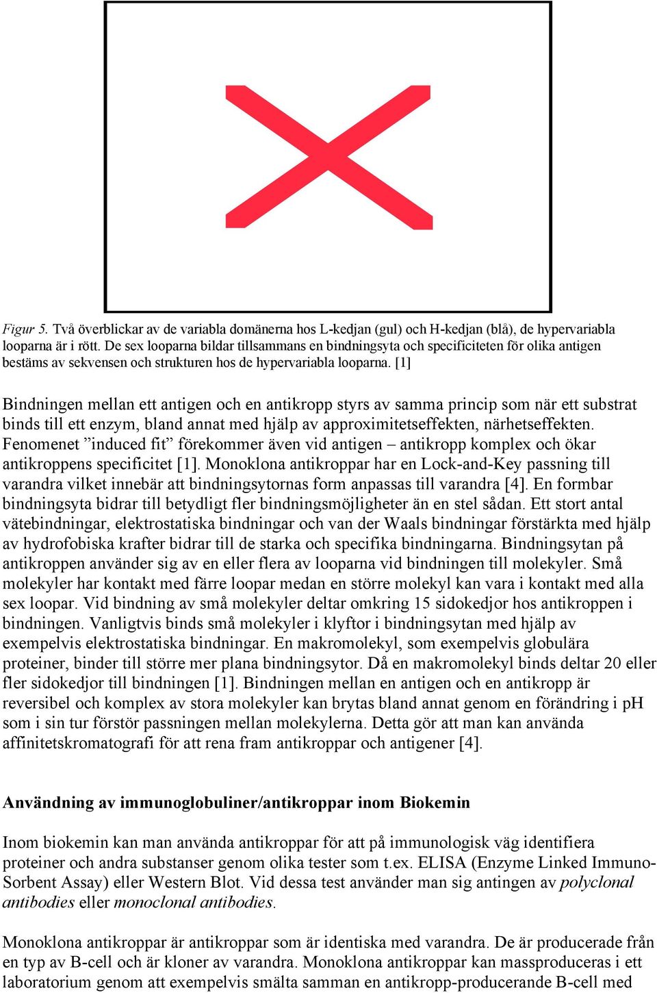 [1] Bindningen mellan ett antigen och en antikropp styrs av samma princip som när ett substrat binds till ett enzym, bland annat med hjälp av approximitetseffekten, närhetseffekten.