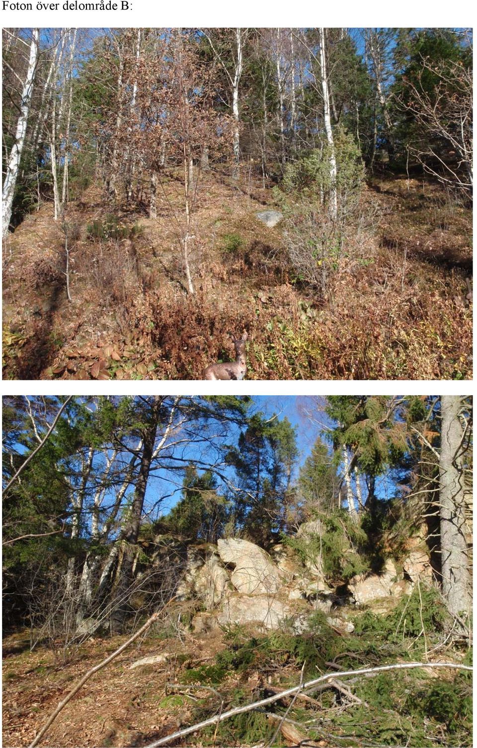 delområde