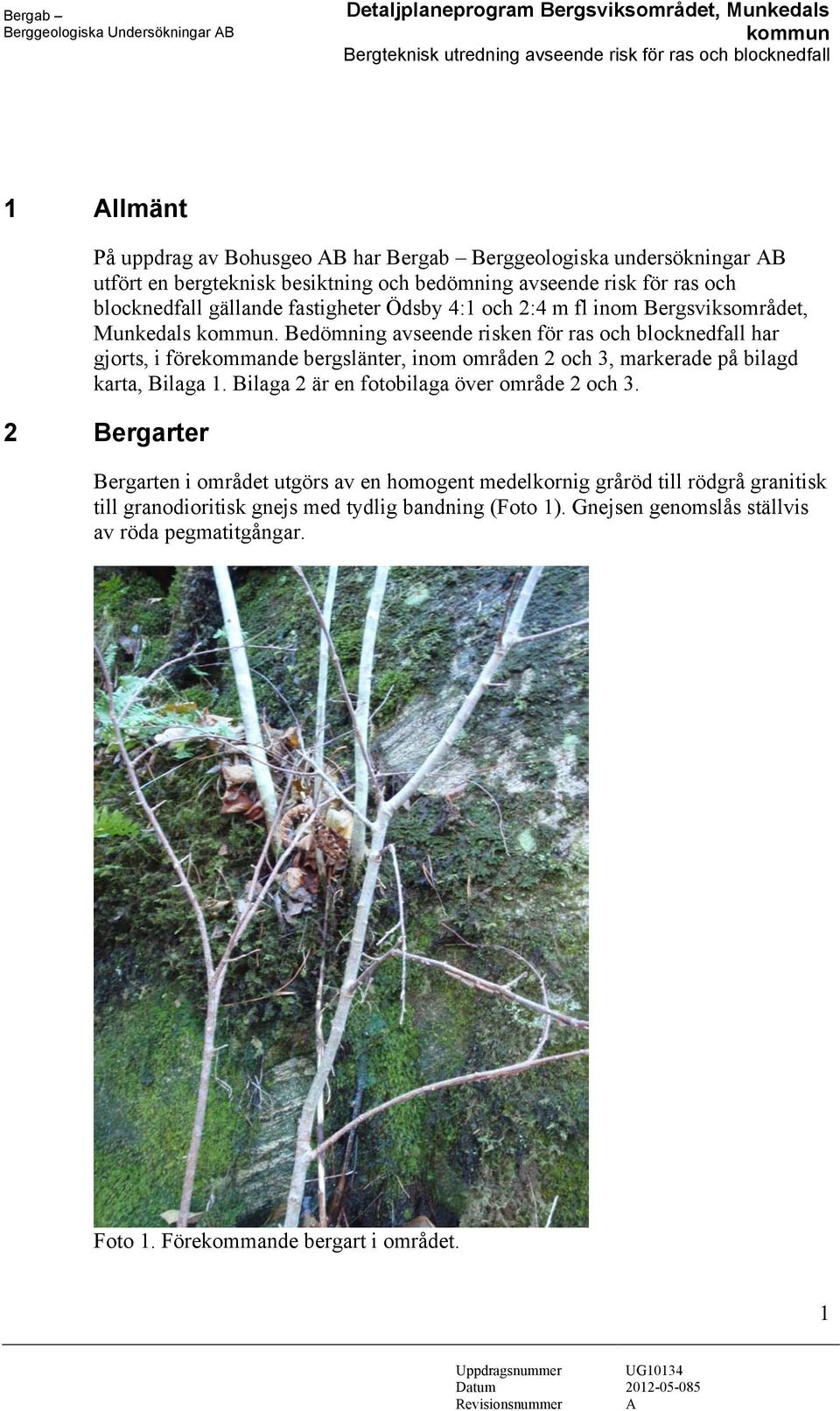 Munkedals kommun. Bedömning avseende risken för ras och blocknedfall har gjorts, i förekommande bergslänter, inom områden 2 och 3, markerade på bilagd karta, Bilaga 1.