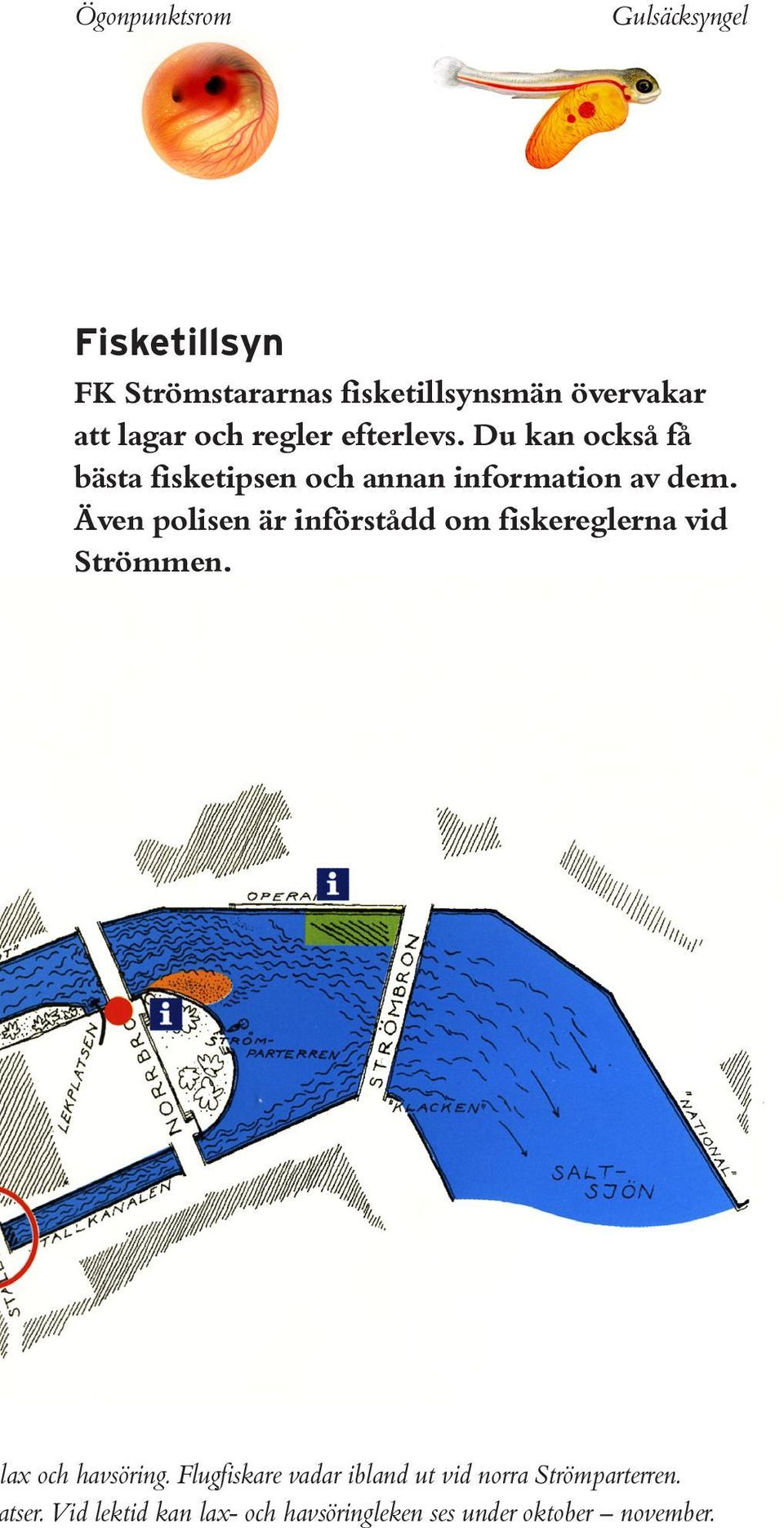 Även polisen är införstådd om fiskereglerna vid Strömmen. ax och havsöring.