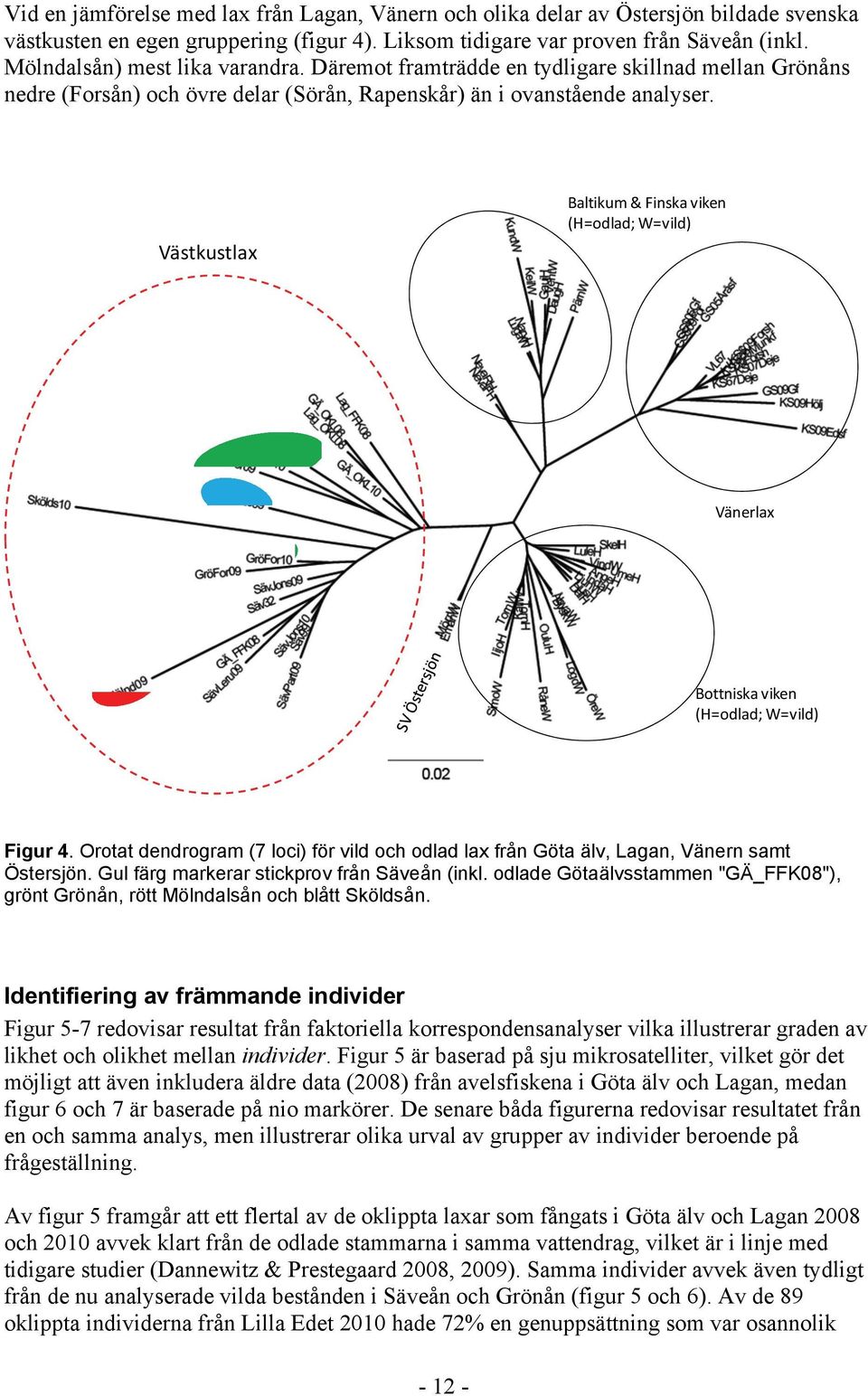 Västkustlax Baltikum & Finska viken (H=odlad; W=vild) Vänerlax Bottniska viken (H=odlad; W=vild) Figur 4. Orotat dendrogram (7 loci) för vild och odlad lax från Göta älv, Lagan, Vänern samt Östersjön.