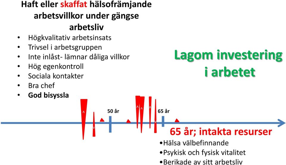 Sociala kontakter Bra chef God bisyssla Lagom investering i arbetet v v v 50 år 65 år v v v