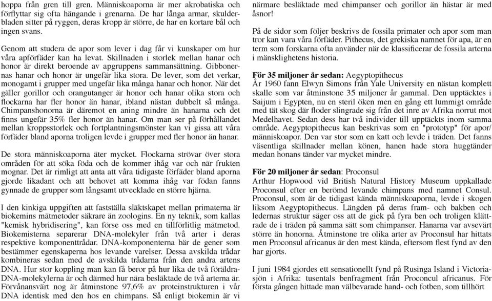 Genom att studera de apor som lever i dag får vi kunskaper om hur våra apförfäder kan ha levat. Skillnaden i storlek mellan hanar och honor är direkt beroende av apgruppens sammansättning.