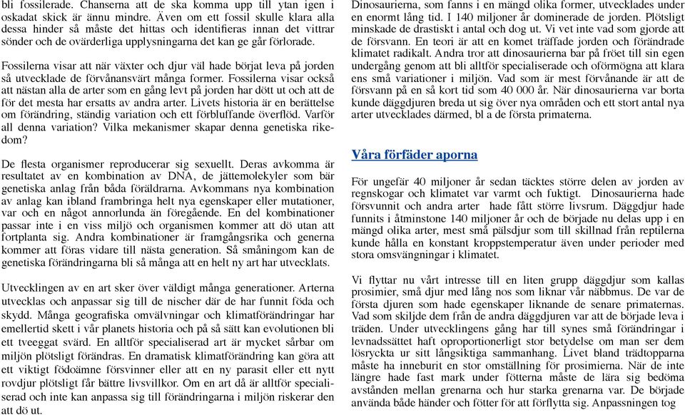 Fossilerna visar att när växter och djur väl hade börjat leva på jorden så utvecklade de förvånansvärt många former.