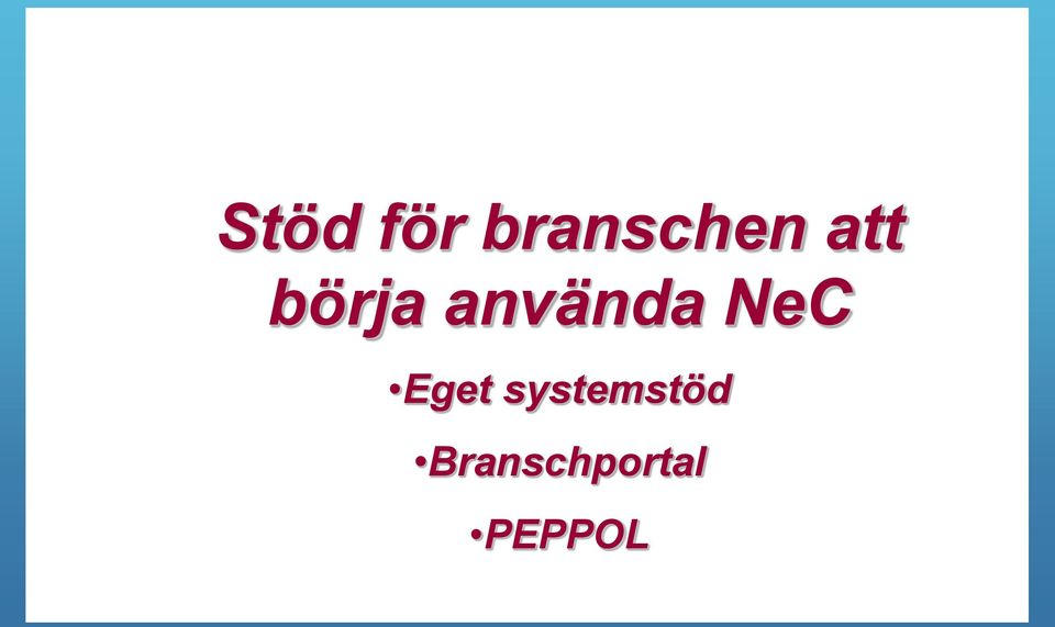 NeC Eget systemstöd