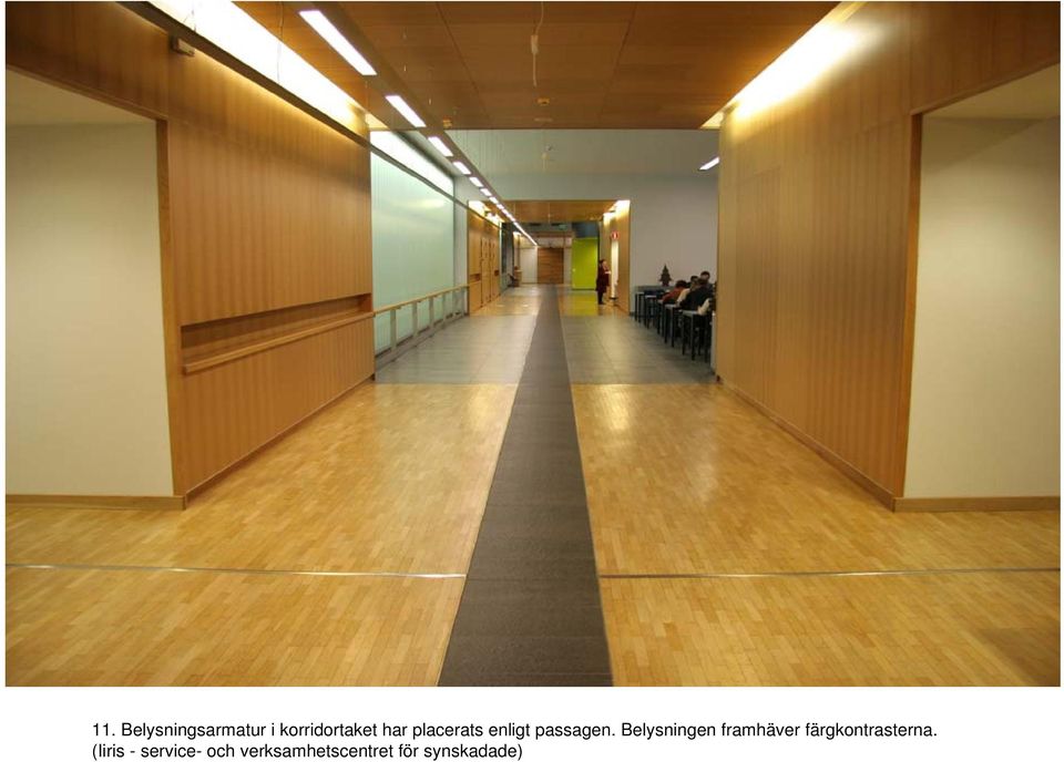 Belysningen framhäver färgkontrasterna.