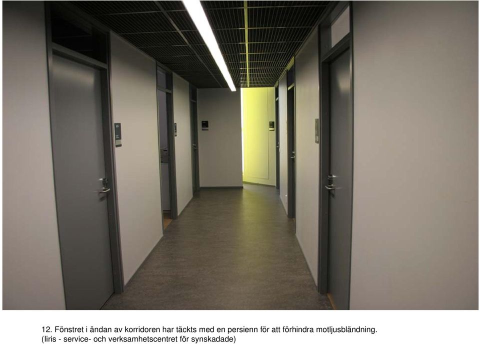 förhindra motljusbländning.
