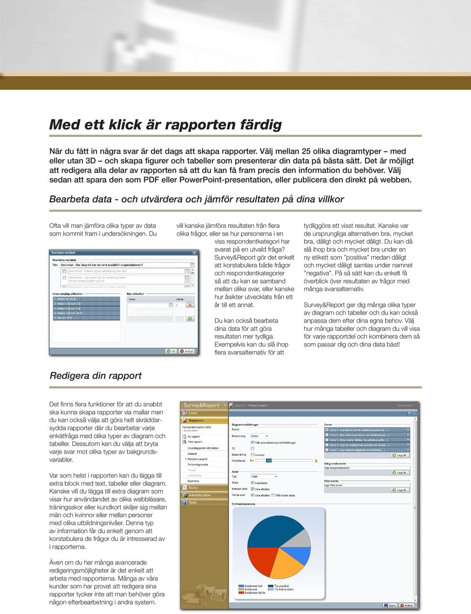 Det är möjligt att redigera alla delar av rapporten så att du kan få fram precis den information du behöver.
