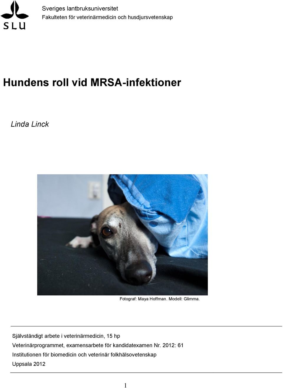 Självständigt arbete i veterinärmedicin, 15 hp Veterinärprogrammet, examensarbete för