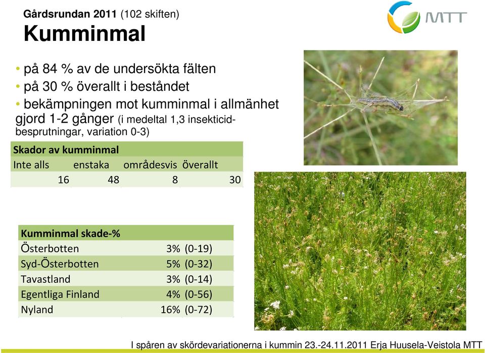 variation 0-3) Skador av kumminmal Inte alls enstaka områdesvis överallt 16 48 8 30 Kumminmal skade-%