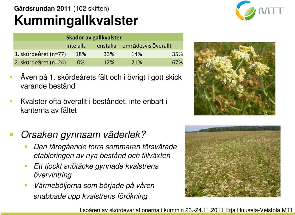 skördeårets fält och i övrigt i gott skick varande bestånd Kvalster ofta överallt i beståndet, inte enbart i kanterna av fältet Orsaken