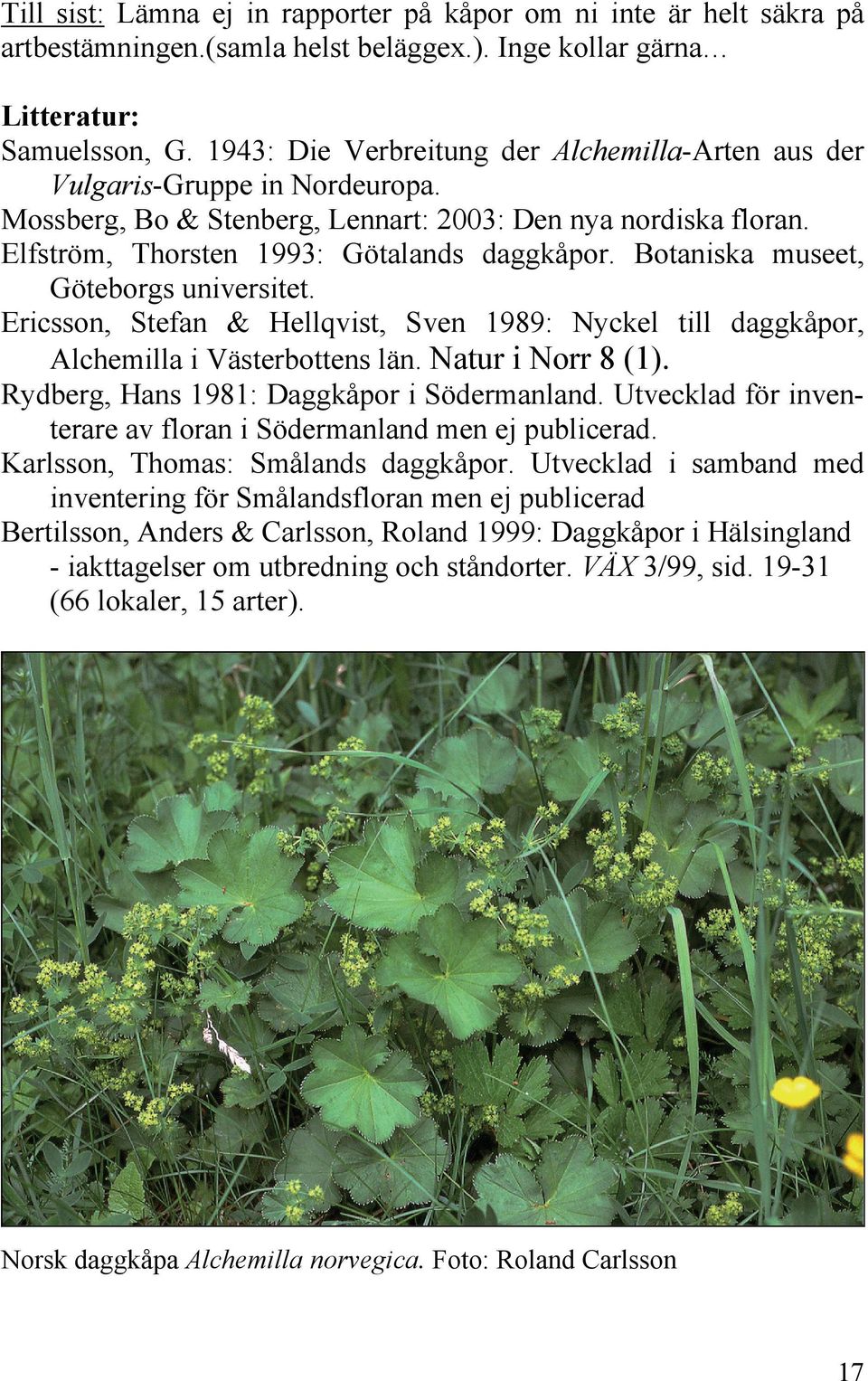 Botaniska museet, Göteborgs universitet. Ericsson, Stefan & Hellqvist, Sven 1989: Nyckel till daggkåpor, Alchemilla i Västerbottens län. Natur i Norr 8 (1).