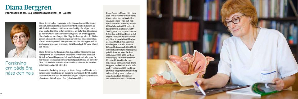 För 30 år sedan upptäcktes att fåglar kan läka skador på hörselvävnad, och aktuell forskning visar att även däggdjurs hårcellsvävnad kan förnyas.
