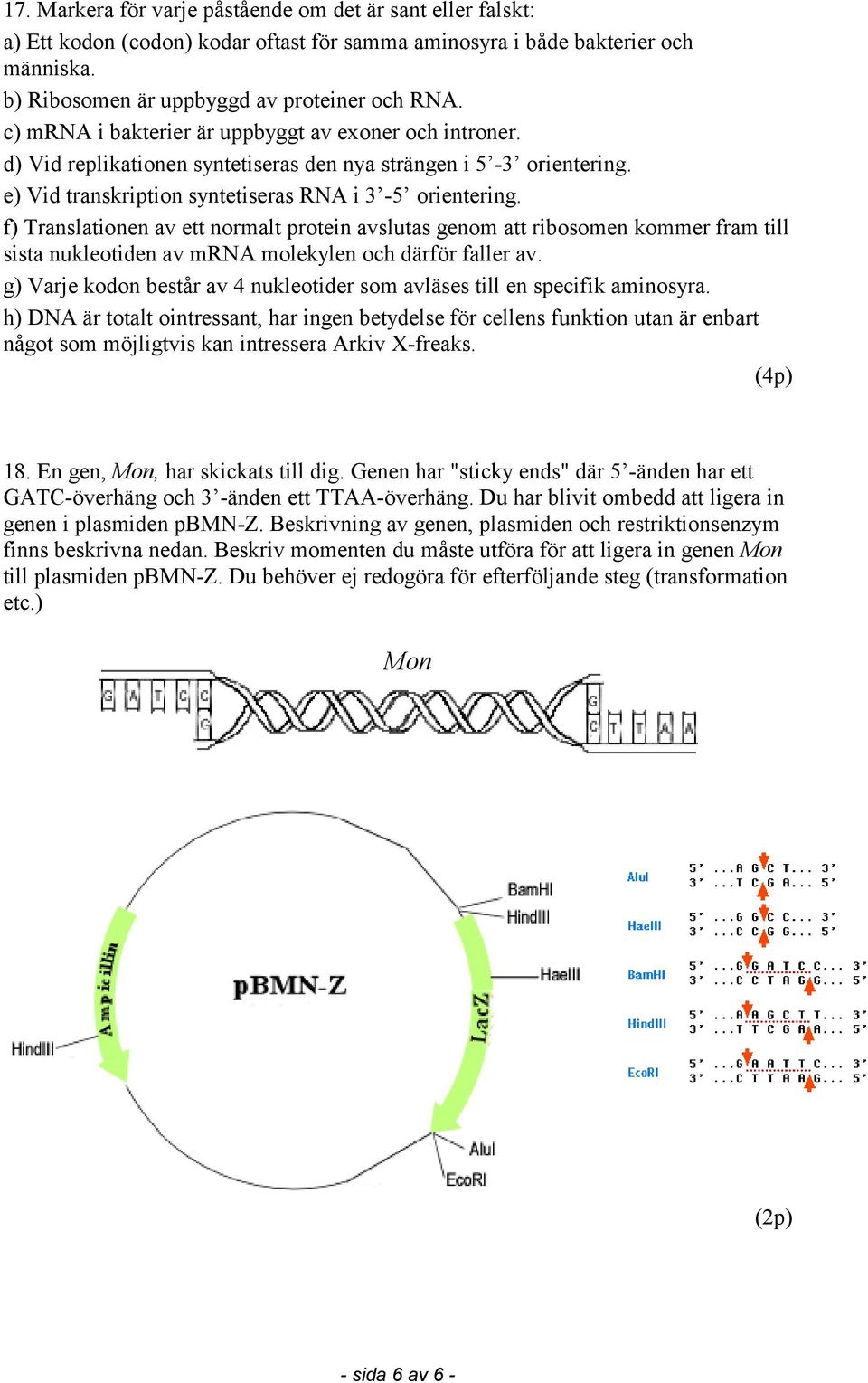 f) Translationen av ett normalt protein avslutas genom att ribosomen kommer fram till sista nukleotiden av mrna molekylen och därför faller av.