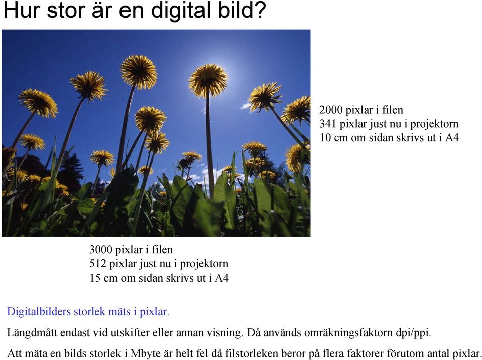 pixlar just nu i projektorn 15 cm om sidan skrivs ut i A4 Digitalbilders storlek mäts i pixlar.