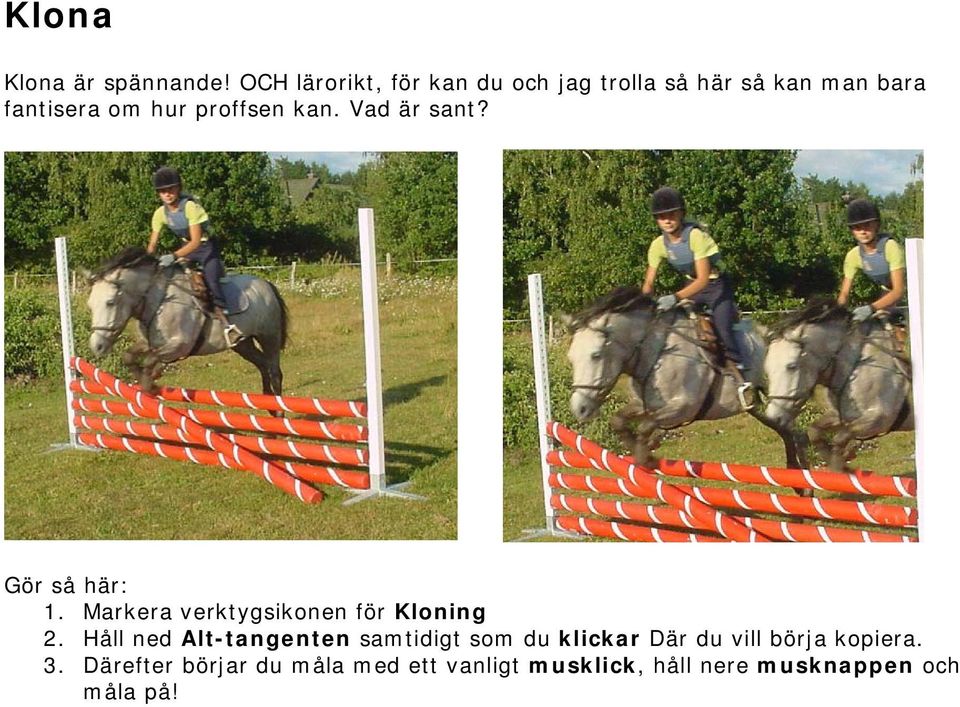 proffsen kan. Vad är sant? Gör så här: 1. Markera verktygsikonen för Kloning 2.