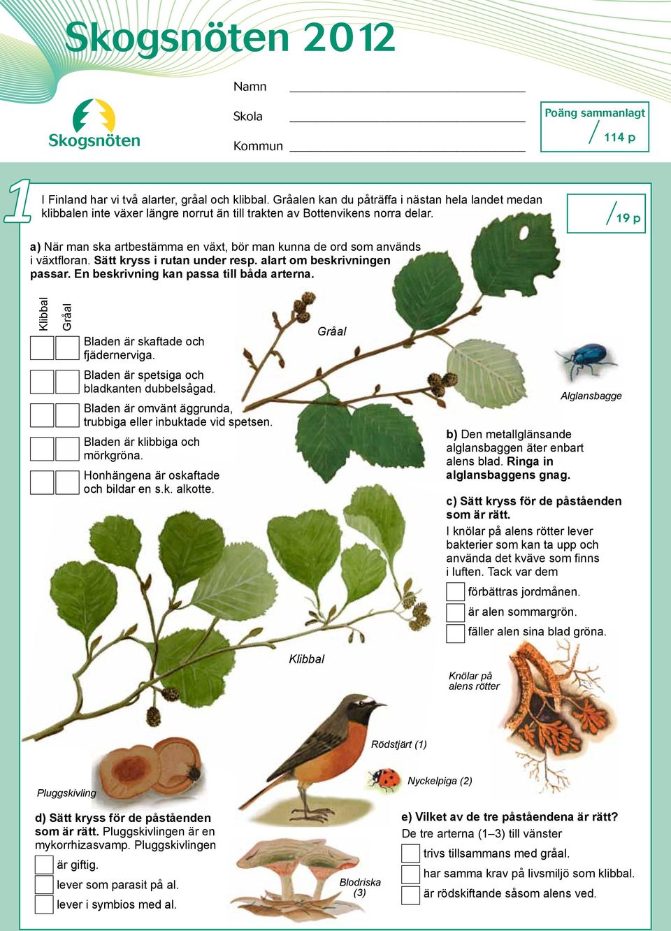 19 p a) När man ska artbestämma en växt, bör man kunna de ord som används i växtfloran. Sätt kryss i rutan under resp. alart om beskrivningen passar. En beskrivning kan passa till båda arterna.