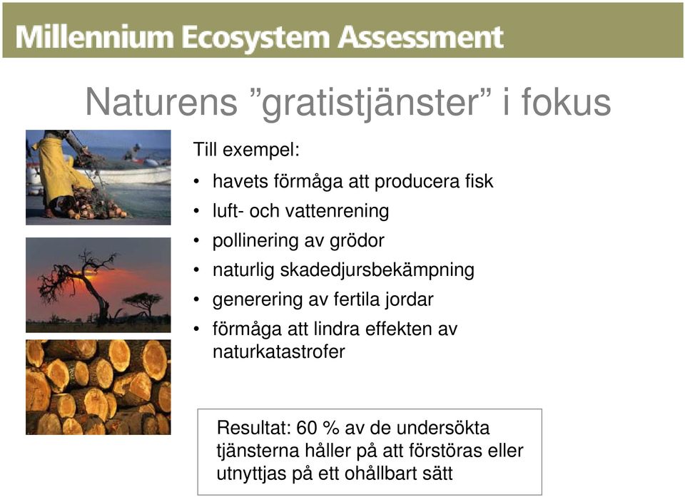 generering av fertila jordar förmåga att lindra effekten av naturkatastrofer