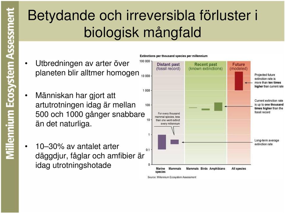 artutrotningen idag är mellan 500 och 1000 gånger snabbare än det