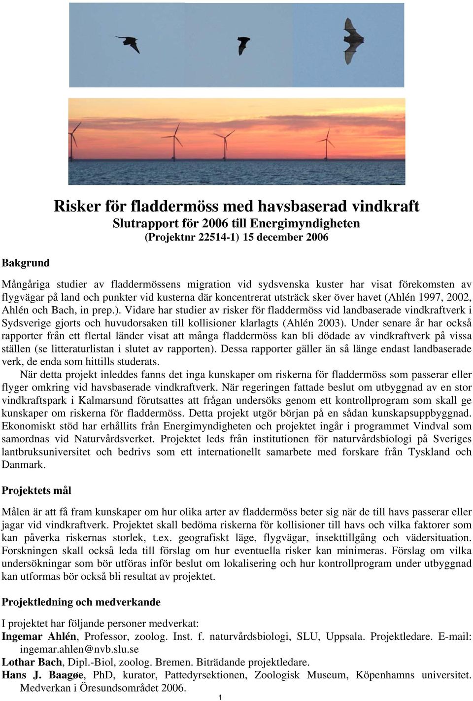 Vidare har studier av risker för fladdermöss vid landbaserade vindkraftverk i Sydsverige gjorts och huvudorsaken till kollisioner klarlagts (Ahlén 2003).