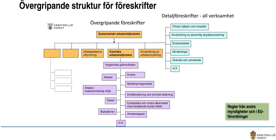 Minderåriga Gravida och ammande Hygieniska gränsvärden m.fl.