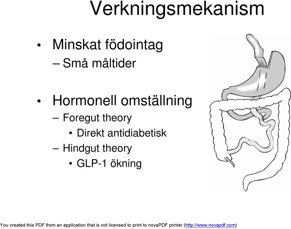 omställning Foregut theory Direkt