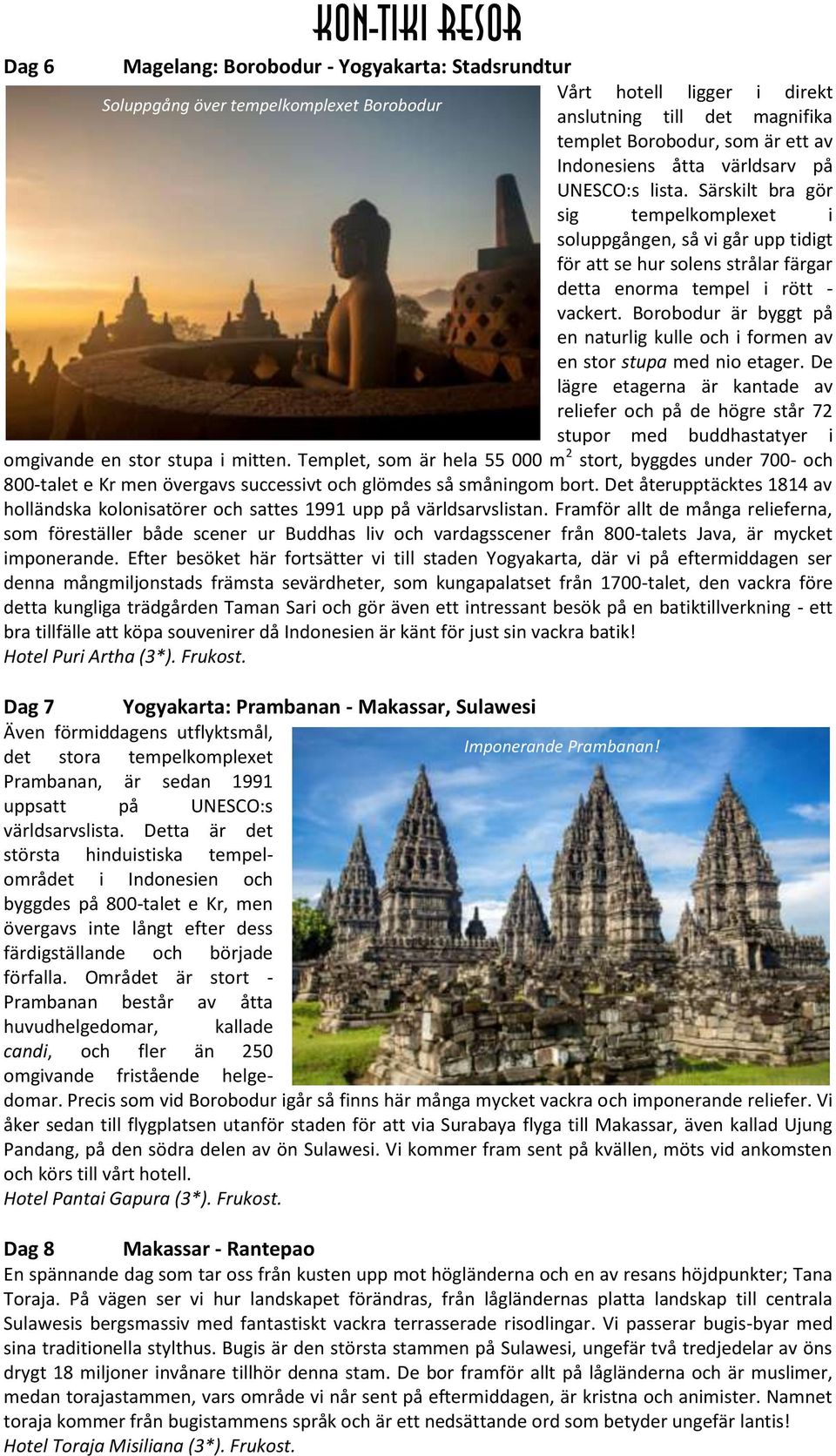 Borobodur är byggt på en naturlig kulle och i formen av en stor stupa med nio etager.